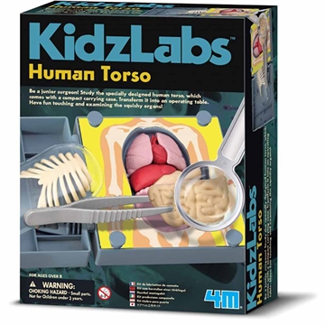 KidzLabs - Menneskekroppens Anatomi  3373