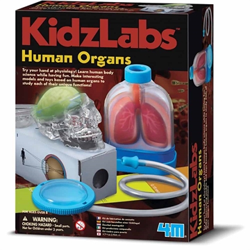 KidzLabs - De Menneskelige Organer 3374